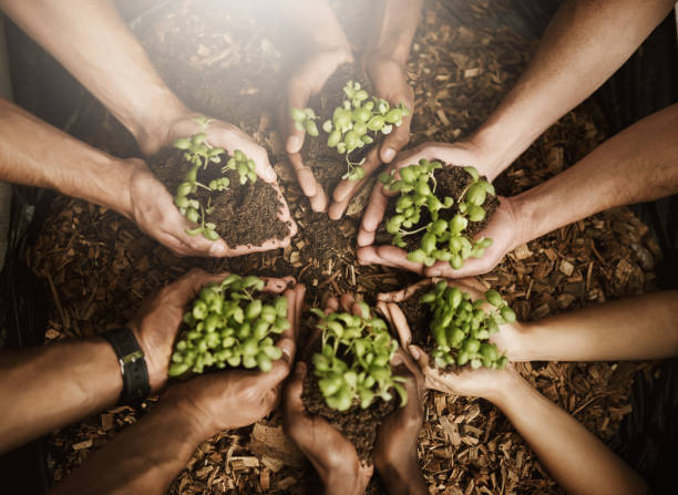 istock Plant a tree and see life grow 1064079318