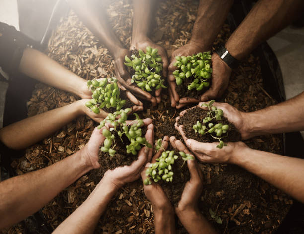 istock Green fingers and big hearts 1064079386
