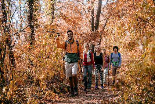 Man showing other hikers right way while walking in woods. Autumn season. Adventure concept.
