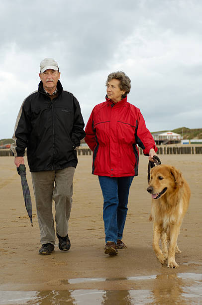 istock Senior couple at the beach walk 106408117