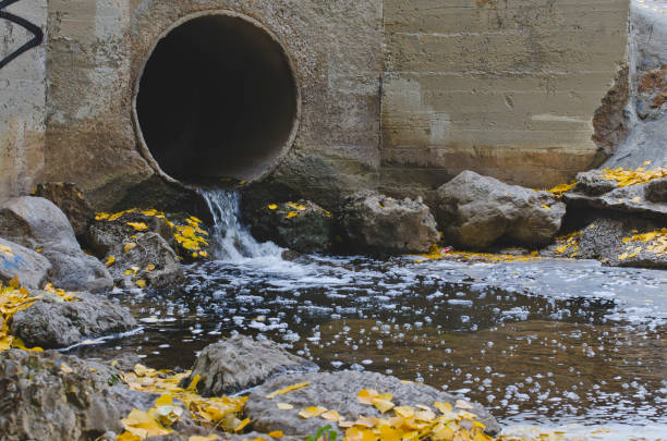 istock The sewage drain in the park creek 1064087246