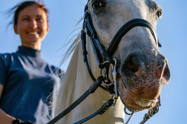 istock Mid adult equestrian on horse 1064087438