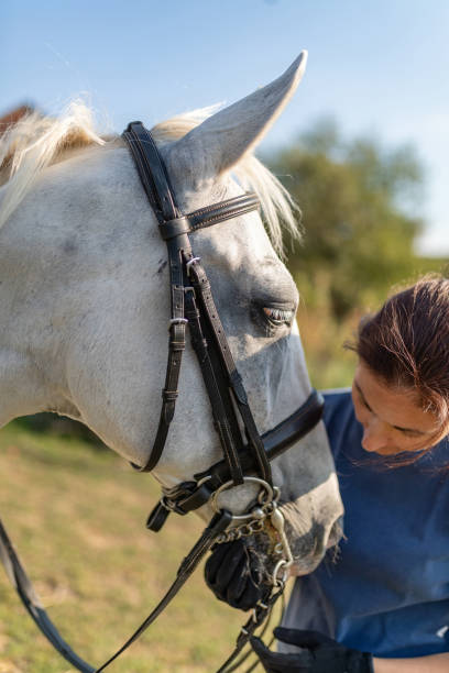 istock Woman bonding with her horse 1064087444