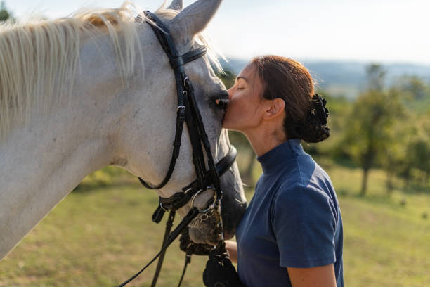istock Equestrian with her horse 1064087460