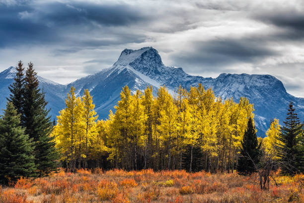 istock Banff National Park 1064097684