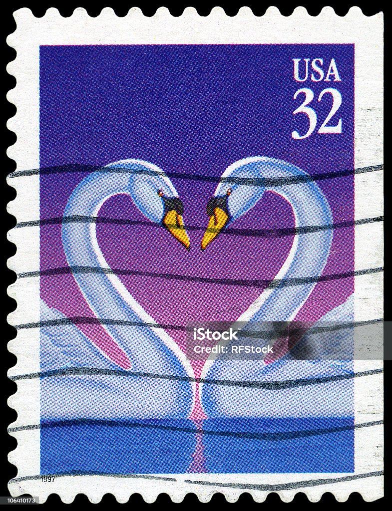 Łabędź Miłość serca pieczęć - Zbiór zdjęć royalty-free (USA)