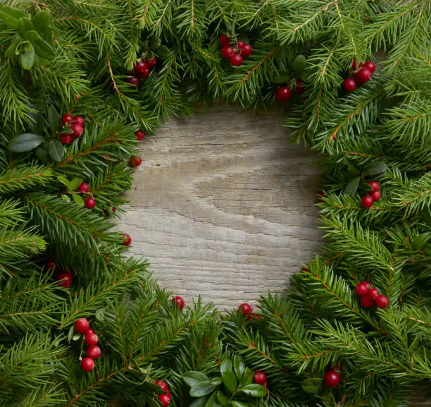 Wooden background with fir tree branches and lingonberries from the sides