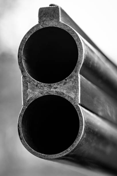 Barrel hunting rifle Vertical barrels of a hunting smooth-bore gun. gun barrel stock pictures, royalty-free photos & images