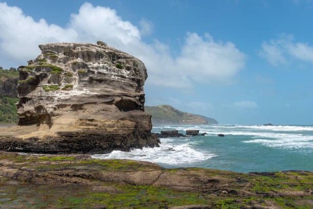 istock Rough seas against a cliff housing gannet colonies in Muriwai Beach 1064112794