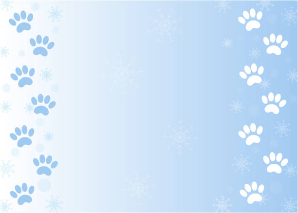 Animal paw prints on blue winter background. Winter paw prints of Pets on snow with copy space for your text. dog borders stock illustrations