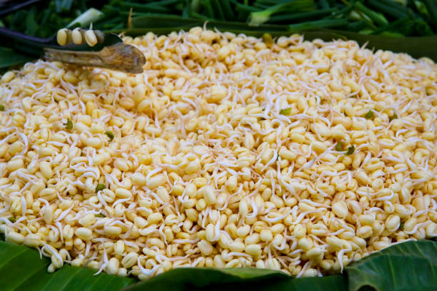 istock Clean bean sprouts on banana leaf ready to cook 1064118774