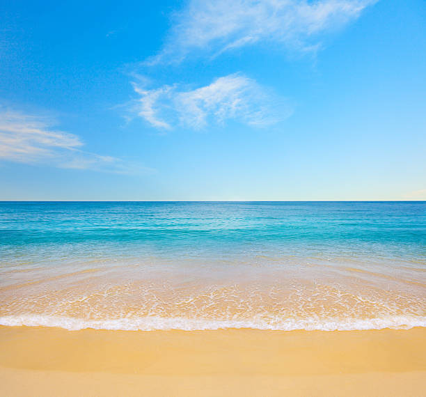 istock beach and tropical sea 106411914