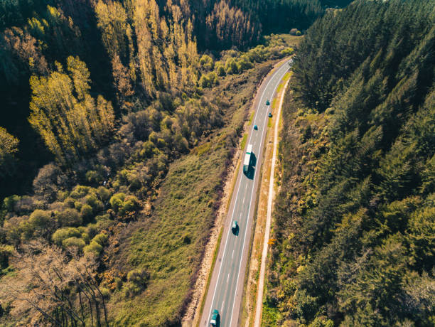 istock Overhead view of road cutting through forest. 1064120146