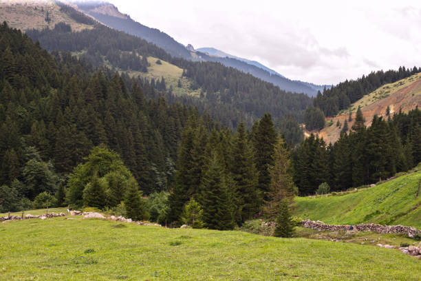 istock Nature Landscape from Trabzon- Turkey 1064121722