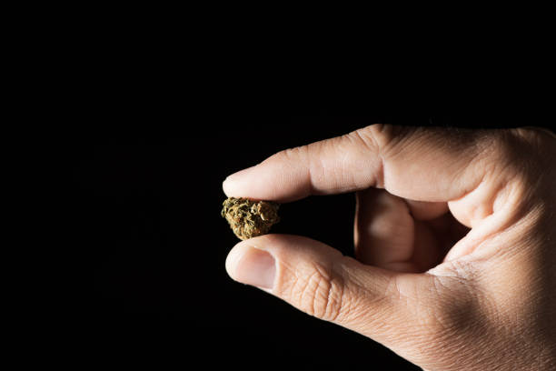 istock young man with a marihuana bud 1064121726