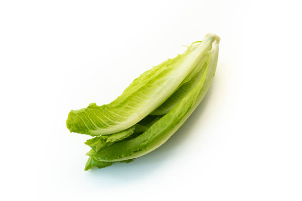 istock salad vegetables on isolated white background 1064122554