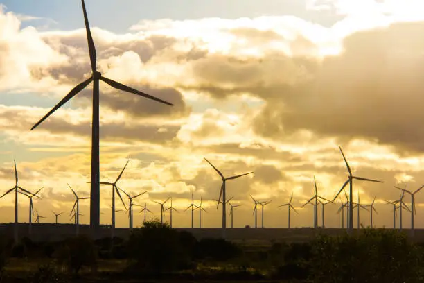 Photo of Wind turbines in a wind power plant at sunset, on a cloudy day in Spain