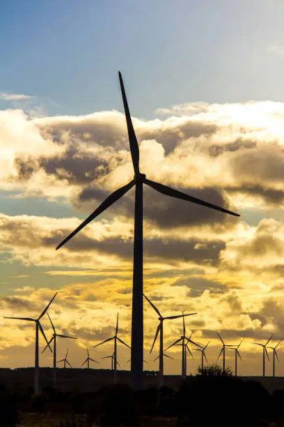 Photo of Wind turbines in a wind power plant at sunset, on a cloudy day in Spain