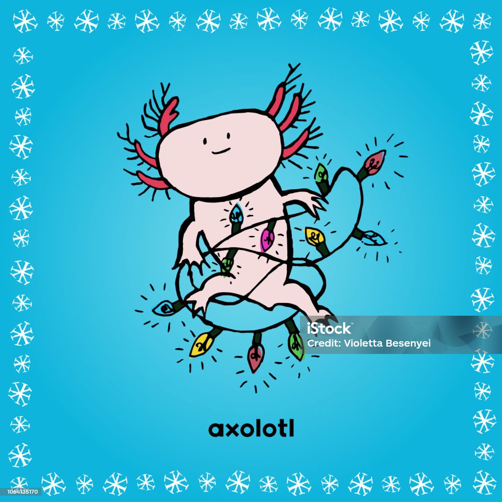 Christmas Axolotl Hand Drawn Axolotl Hand Drawn Christmas Doodle Weird Christmas Animals Xmas Animals Axolotl Axolotl With String Light Stock Illustration - Download Image Now - iStock Christmas Axolotl Hand Drawn Axolotl Hand Drawn Christmas Doodle Weird Christmas Animals Xmas Animals Axolotl Axolotl With String Light Stock Illustration - Download Image Now - iStock