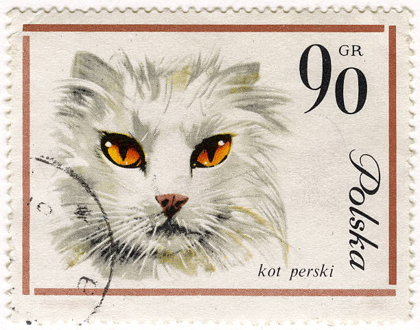 istock white Persian cat on a vintage post stamp 106414213