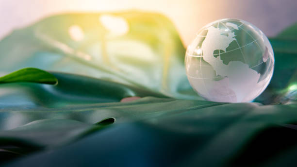 istock World globe crystal glass on green lush leaf. Environmental conservation. World environment day. Global business for sustainable development. Nature and ecology concept. 1064142532