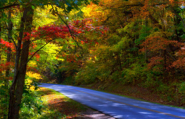 jesienna przejażdżka scenic wzdłuż blue ridge parkway w północnej karolinie - blue ridge mountains blue ridge parkway north carolina autumn zdjęcia i obrazy z banku zdjęć
