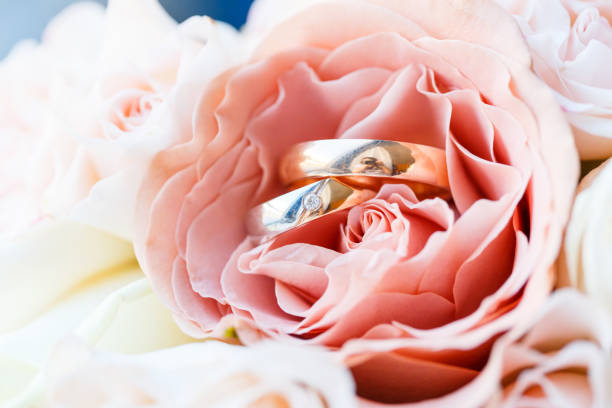 hochzeit goldene ringe mit pastell rosa rose - cluster verlobungsringe stock-fotos und bilder