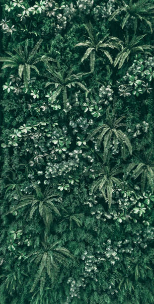 istock Vertical garden with tropical green leaf, Dark tone 1064153922