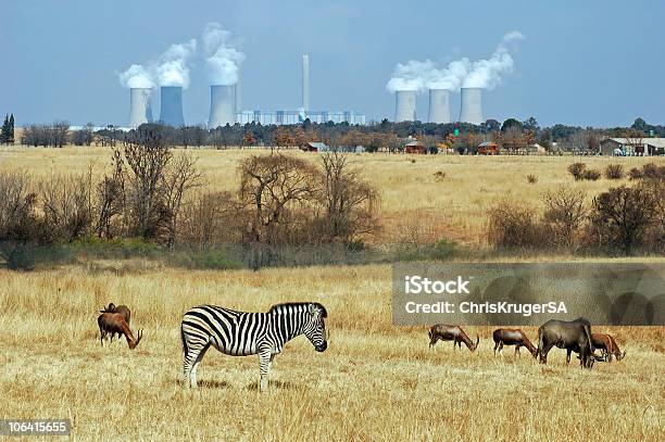 Elettrica Station - Fotografie stock e altre immagini di Centrale elettrica - Centrale elettrica, Zebra, Animale selvatico