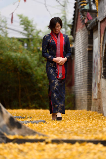 istock Cheong-sam is a dress with typical Chinese elements 1064158392