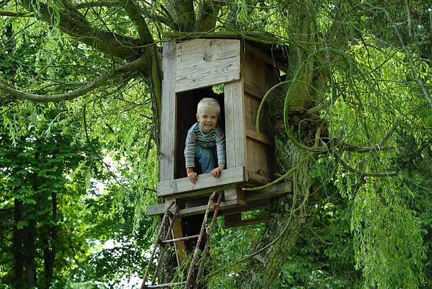 Photo of young boy looking out from a tree hut
