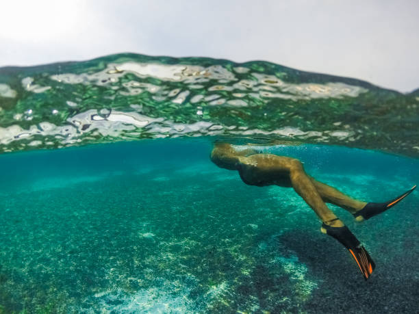 istock Underwater split screen view of man diving apnea. 1064161456