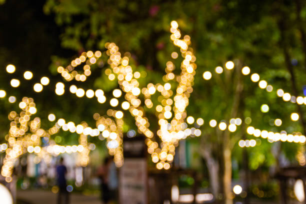 istock Blurred image Decorative outdoor string lights hanging on tree in the garden at night time 1064169896