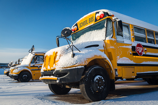 School buses after a fresh snowfall