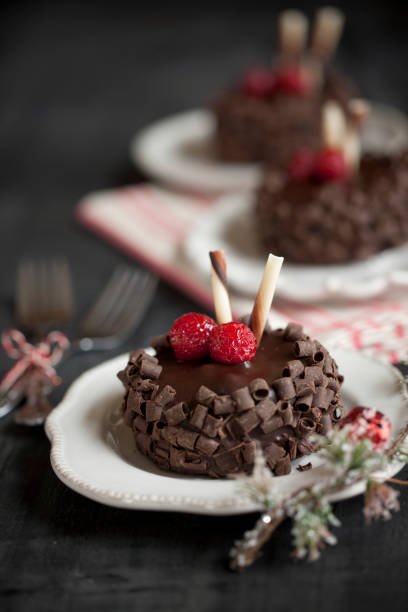 istock Chocolate Cake Holiday Dessert 1064173022
