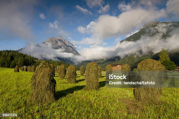 Haystackshuanza Foto de stock y más banco de imágenes de Heno - Heno, Agricultura, Aire libre