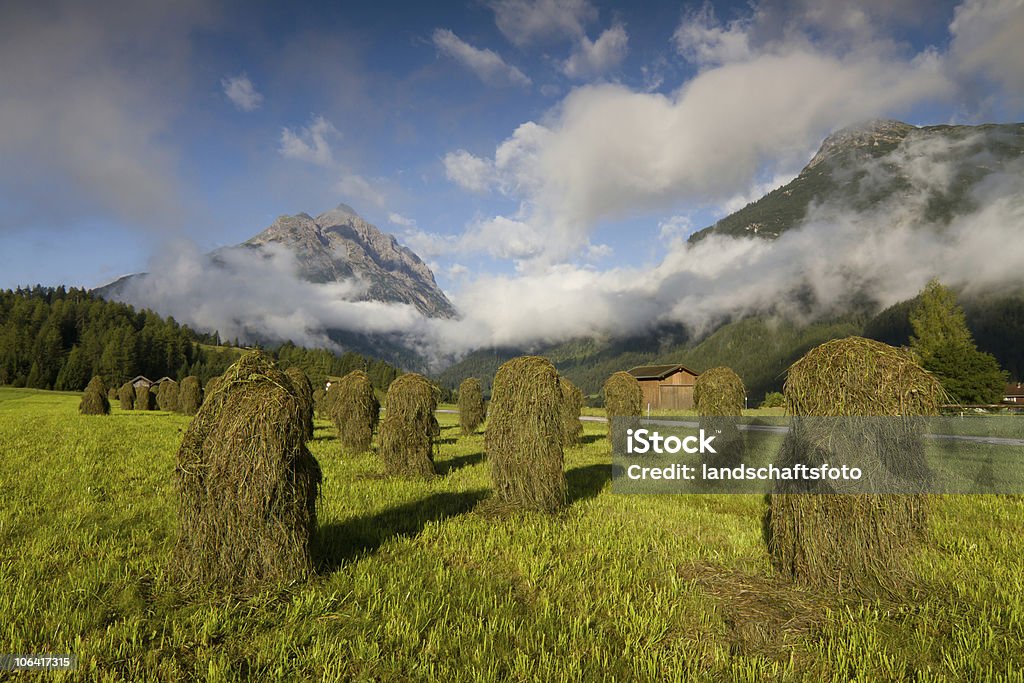 haystacks-"Huanza" - Foto de stock de Feno royalty-free