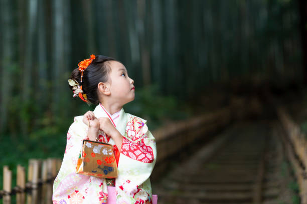 istock Girl wearing a kimono 1064181484
