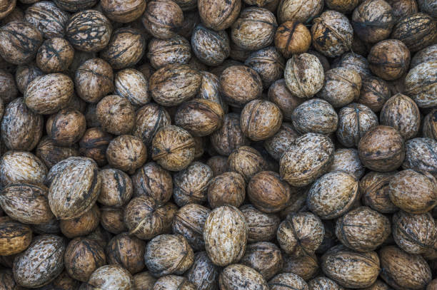 Heap of walnuts stock photo