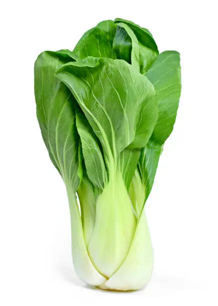 Fresh pak choi cabbage or chinese cabbage, isolated on white background. Fresh, green vegetable, close-up shot. Healthy lifestyle theme, kitchen scene.