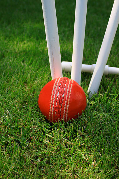 Ball and Stumps  cricket stump photos stock pictures, royalty-free photos & images