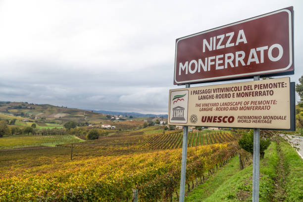 Hills of vineyards in autumn in Nizza Monferrato, Asti province, Piedmont, Italy. stock photo