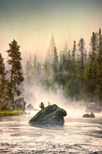 Rock in Firehole River in early misty morning near Madison Junction in Yellowstone National Park