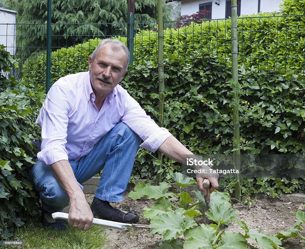 Uomo anziano giardinaggio - Foto stock royalty-free di 60-64 anni