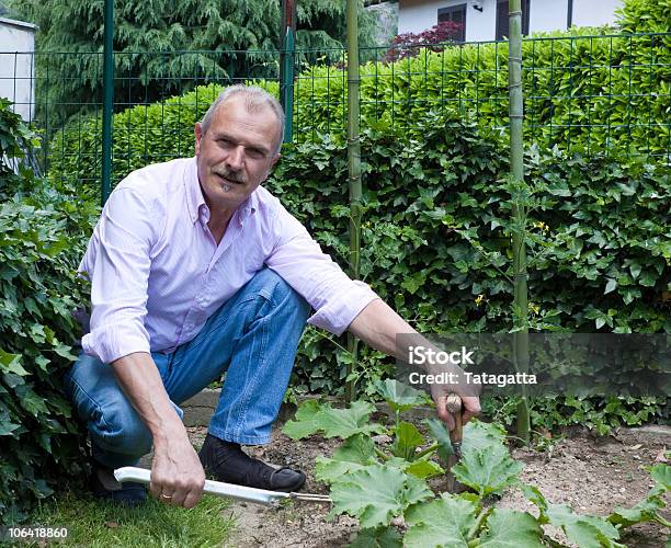 Uomo Anziano Giardinaggio - Fotografie stock e altre immagini di 60-64 anni - 60-64 anni, 60-69 anni, Falciatura