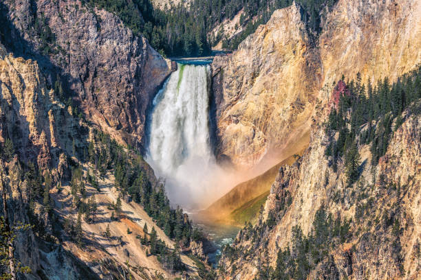 lower falls waterfall in the grand canyon of yellowstone national park - lower falls imagens e fotografias de stock