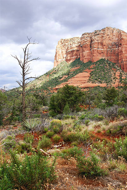 Before rain storm in Sedona stock photo