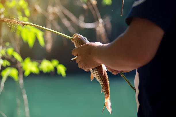 istock Fishing for fishermen 1064196590