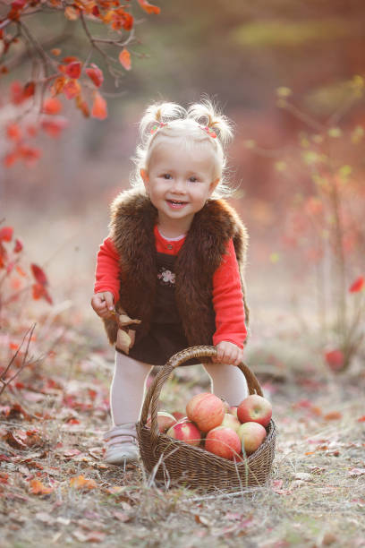 urocza dziewczynka z koszem czerwonych jabłek jesienią w parku - apple eating little girls green zdjęcia i obrazy z banku zdjęć