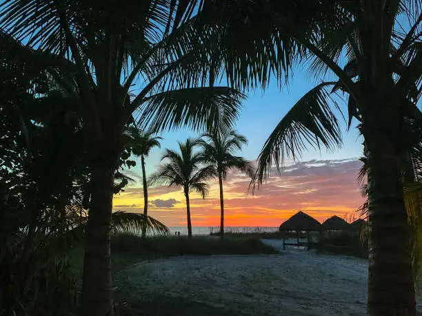 Photo of Sunset through the palm trees with view of Gulf of Mexico and sun shelter